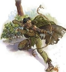 Archer