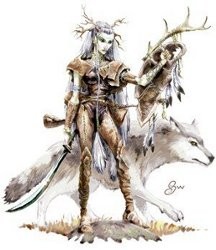 Druide