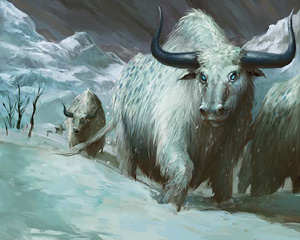 Auroch en hiver