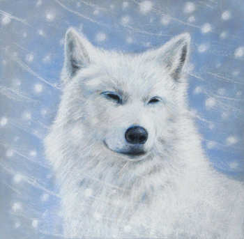 Loup