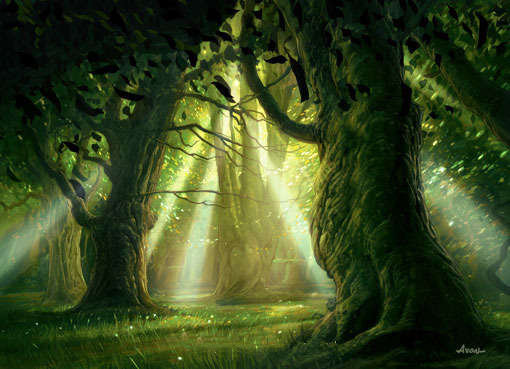 Forêt