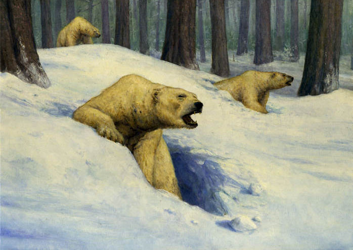 Ours