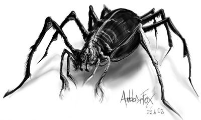 Araignée géante