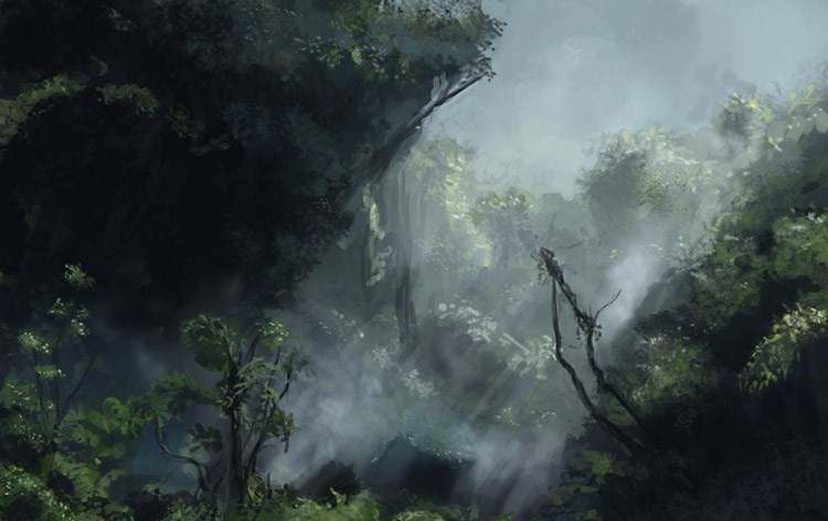 Jungle