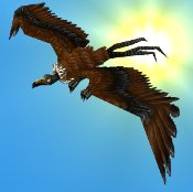 Vautour géant
