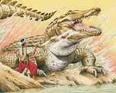 Crocodile géant