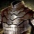 Armure lamellaire
