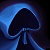 Excellente cape