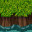 terrain